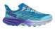 Кроссовки Hoka W SPEEDGOAT 5 Cloudless/Cosmos в Мурманске
