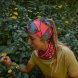 Повязка Buff CoolNet UV Wide Headband Aramay Poppy 135905.442.10.00