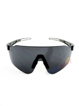 Очки SKI TIME ENTRY W, линза Grey