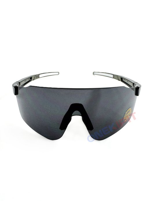 Очки SKI TIME ENTRY W, линза Grey в Екатеринбурге