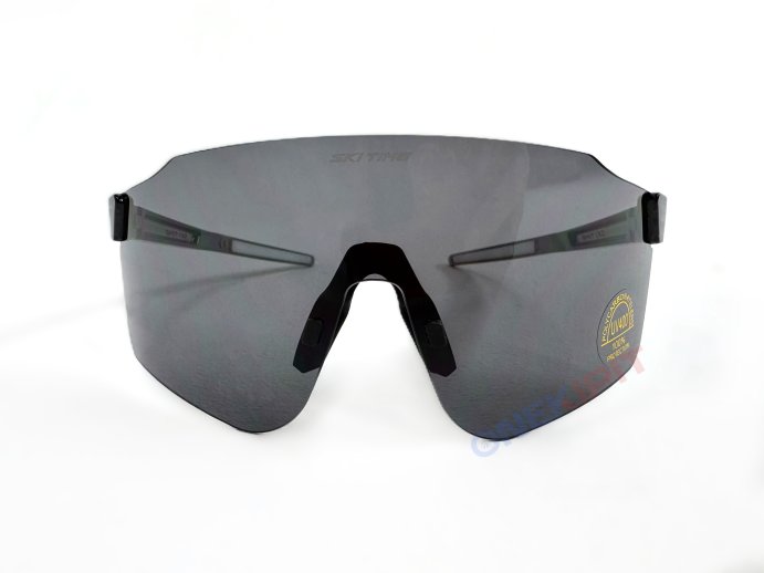 Очки SKI TIME ENTRY W, линза Grey в Екатеринбурге