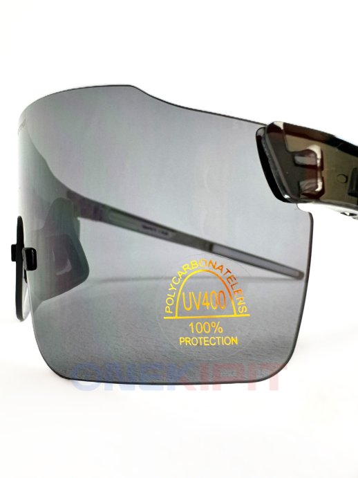 Очки SKI TIME ENTRY W, линза Grey в Екатеринбурге