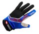 Перчатки KV+ CAMPRA gloves for NW &amp; skiroll black\royal 22G02.2
