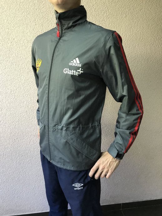 Ветровка Россия серая