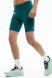 Шорты (спринтерки) Bivium Спринт 3.0 муж. сине-зеленый в Санкт-Петербурге
