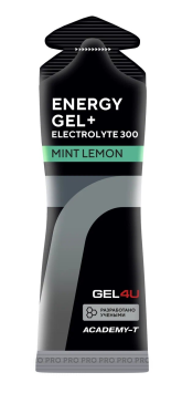 Гель энергетический углеводный с электролитами GEL4U 60мл