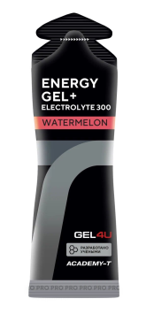 Гель энергетический углеводный с электролитами GEL4U 60мл