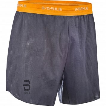 Шорты беговые Bjorn Daehlie 2019 Endorfin черный 332913_98100