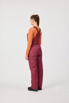 Утепленные брюки Nordski Active Wine W NSW964724