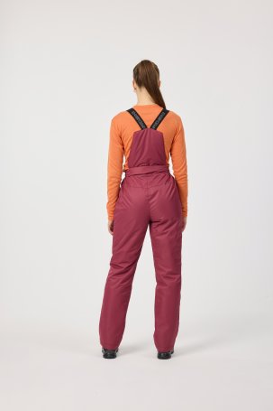 Утепленные брюки Nordski Active Wine W NSW964724